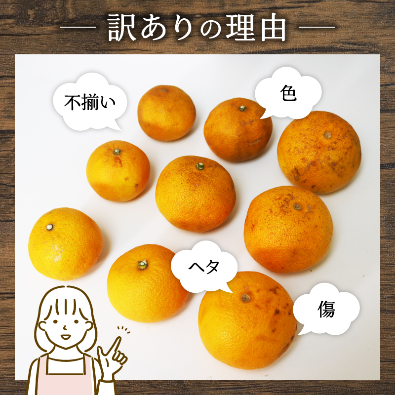 訳あり 八朔 約4kg   南知多町産  柑橘 果物 フルーツ デザート 人気 おすすめ 愛知県 南知多町 ふるさと納税 ふるさと納税柑橘 愛知県産 南知多町産