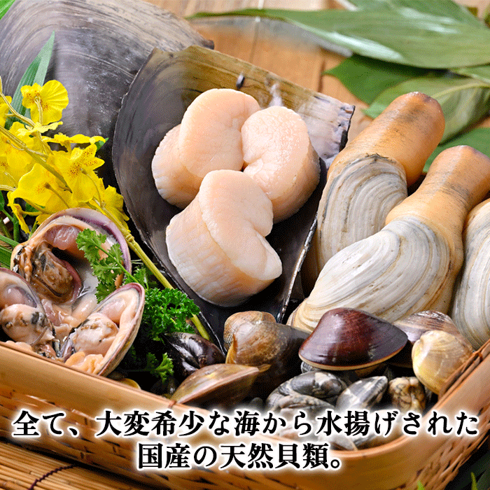 【天然貝×漁師直送】 極上 干物 6種 セット 晩酌のお供に最適