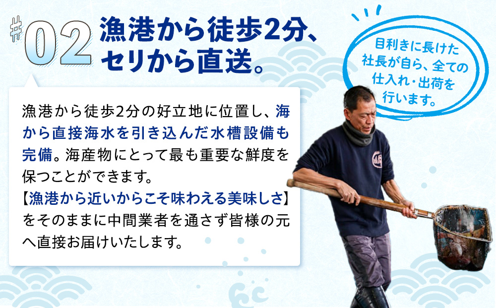 縲仙、ゥ辟カ縲題i蜴壹→繧願イ昴♀蛻コ霄ォ 縺ィ繧願イ昴千音螟ァ9譫壼・繧翫3繧サ繝繝 蟯ャ縺繧医j