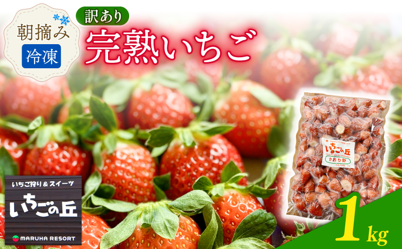 まるは食堂　マルハリゾート　いちごの丘の『 訳あり 』完熟冷凍いちご 1kg