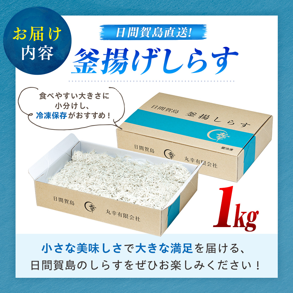 日間賀島 釜揚げ しらす 1kg 天然 塩 愛知県 南知多町 冷凍 ご飯 ごはん パスタ サラダ ピザ 丼 料理 国産 パーティー 魚 さかな シラス ミネラル 人気 おすすめ