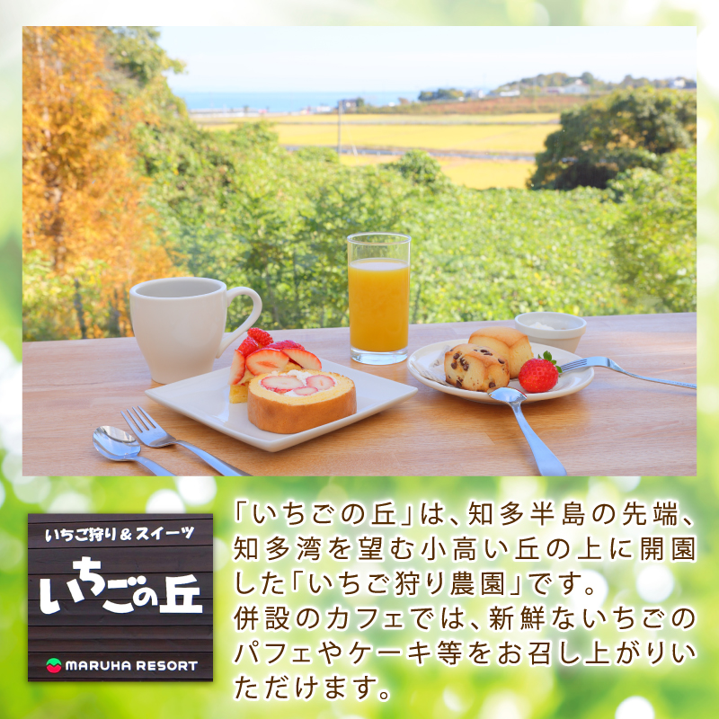 まるは食堂　マルハリゾート　いちごの丘の『 訳あり 』完熟冷凍いちご 2kg