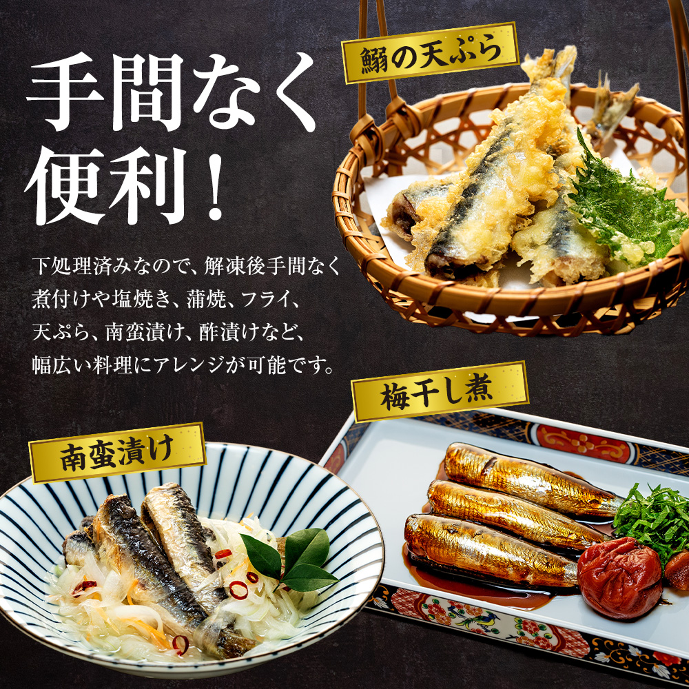 万能いわし 8匹 (約160g～180g) × 3袋 下処理済み
