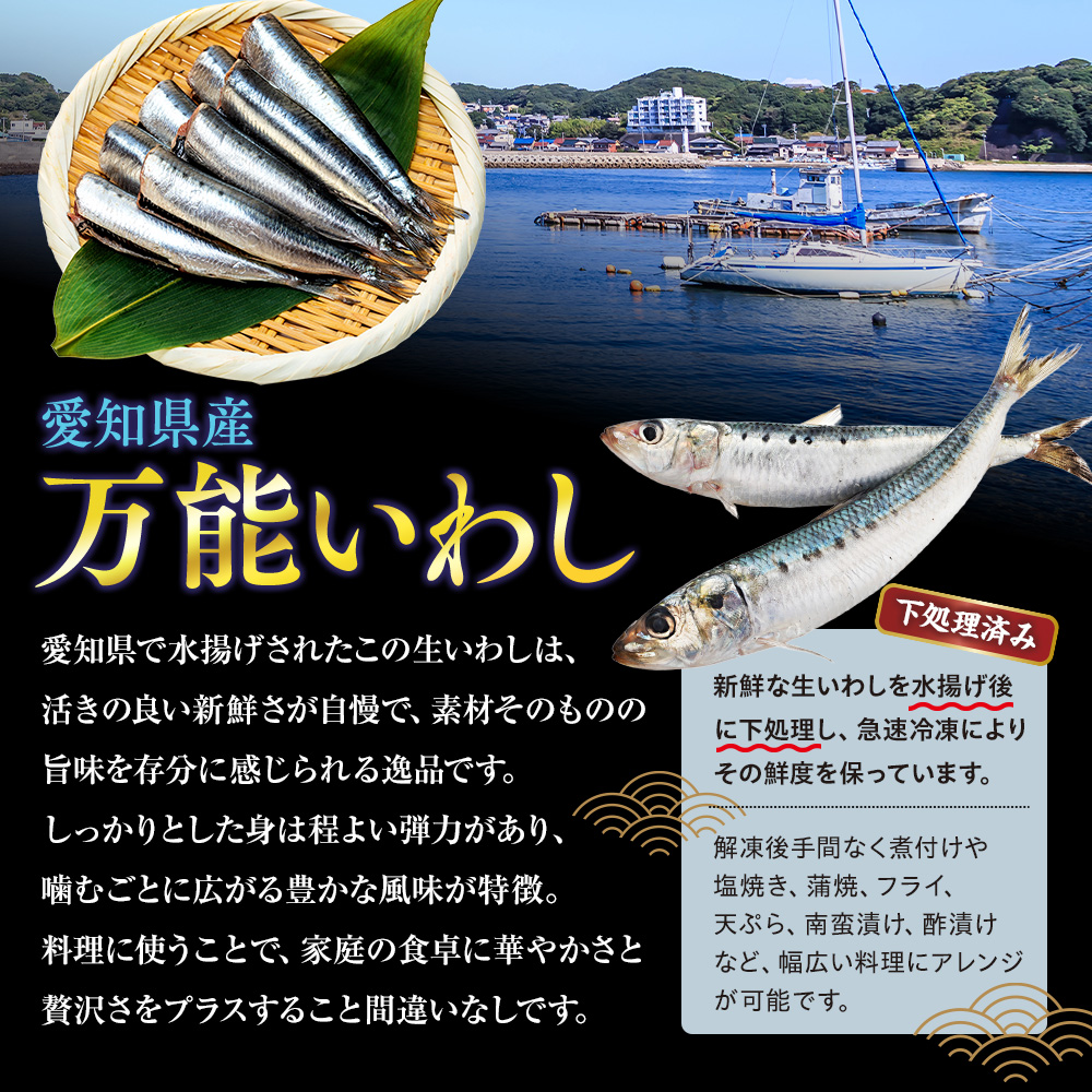 万能いわし 8匹 (約160g～180g) × 5袋 下処理済み