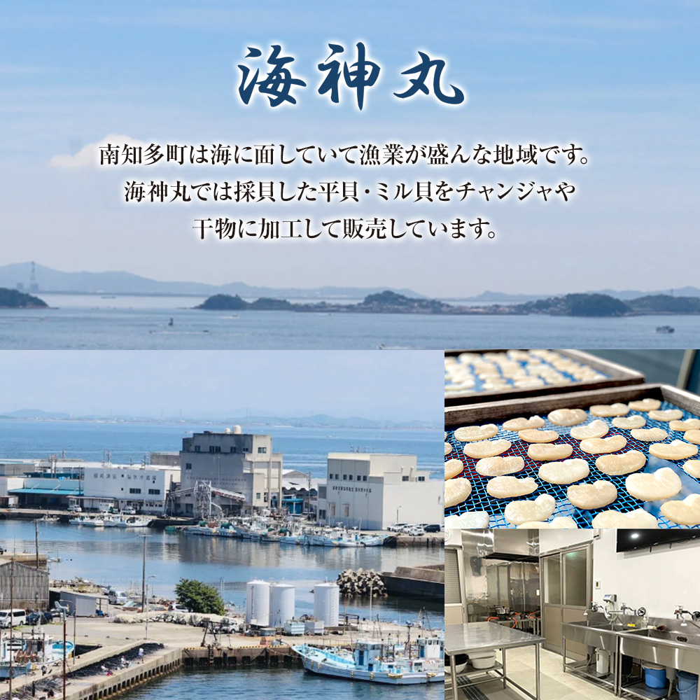 万能いわし 8匹 (約160g～180g) × 5袋 下処理済み