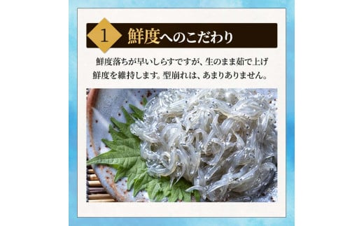 しらす 訳あり 1kg(200g×5P) 小分け しらす干し シラス ごはん おかず チャーハン パスタ 料理 大きめ ランキング こだわり 鮮度 天塩 マル伊商店 愛知県 南知多町