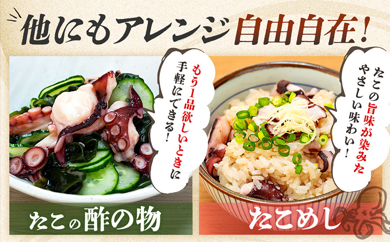 タコ 三昧 ( 120g × 5袋入 ) 冷凍 たこ足 タコ 蛸 小分け 真空パック 海鮮 新鮮 魚介 海の幸 海産物 刺身 国産 シーフードエム・エム 愛知県 南知多町