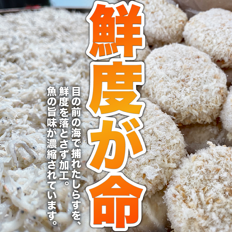 師崎名物じゃこコロッケ 20個 しらす コロッケ 揚げ物 フライ 小分け 惣菜 晩御飯 おすすめ 人気 愛知県 知多 特産品 南知多町
