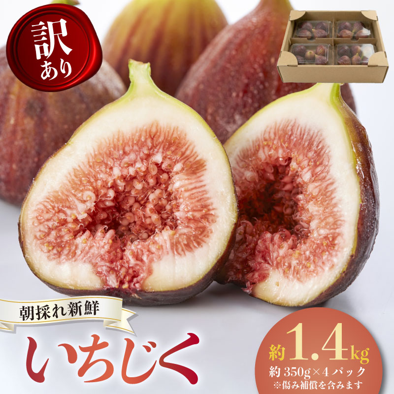 【先行予約】【2026年8月中旬～出荷】訳ありいちじく 約350g×4パック 計約1.4kg 冷蔵 果物 【配送不可地域：北海道 東北 九州 沖縄 離島】