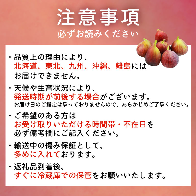 【先行予約】【2026年8月中旬～出荷】訳ありいちじく 約350g×4パック 計約1.4kg 冷蔵 果物 【配送不可地域：北海道 東北 九州 沖縄 離島】
