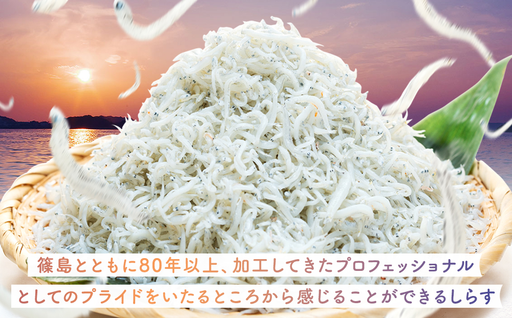 【スピード発送】＜篠島産＞ 訳あり しらす干し2kg シラス 南知多産 愛知