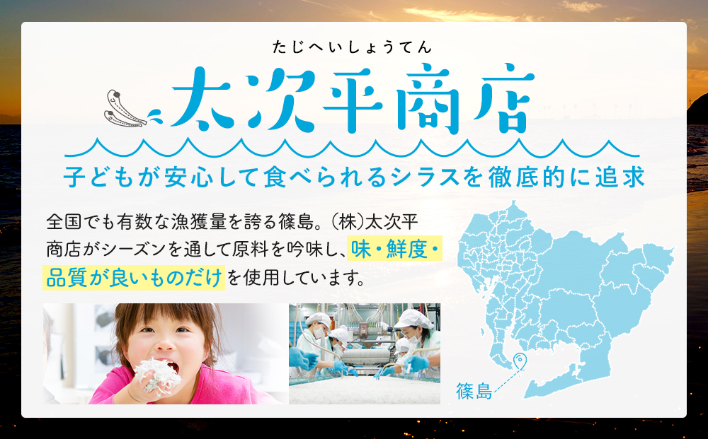 【スピード発送】＜篠島産＞ 訳あり しらす干し500g シラス 南知多産 愛知