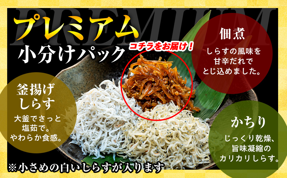 プレミアム 釜揚げ しらす 佃煮 500g(100g×5パック) 小分け 減塩 無添加 無着色 冷凍 愛知県 南知多町 ご飯 ごはん 丼 料理 国産 カネ成 シラス 人気 おすすめ シラス しらす しらすごはん shirasu sirasu SIRASU 人気シラス