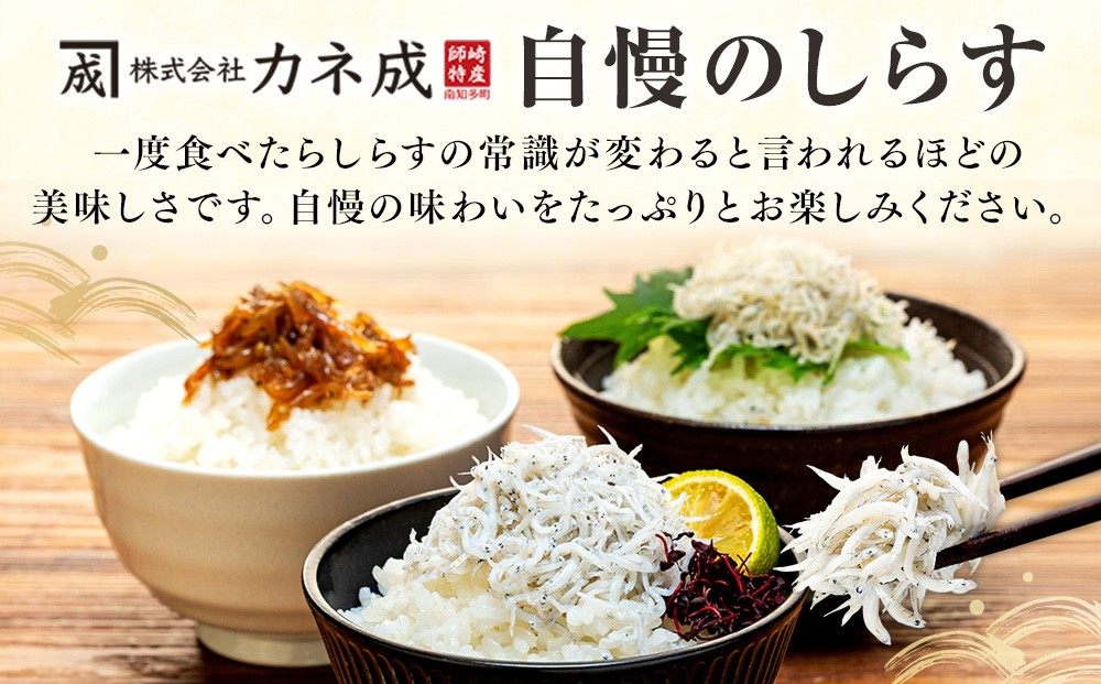 訳あり かちり 600g (120g×5袋) 小分け 冷凍 ちりめんじゃこ シラス 白子 しらす かちり ちりめんじゃこ シラス ふるさと納税しらす ふるさと納税かちり ふるさと納税ちりめんじゃこ シラス丼 シラス丼 しらすパスタ カネ成 人気シラス 愛知県 南知多町 しらす シラス 米 お米 コメ に合う 丼 シラス shirasu sirasu SIRASU 人気シラス 南知多産しらす