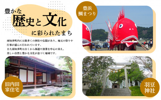 海苔 480枚 (12本40枚) 国産 味付け 愛知県 南知多町 海藻 海苔 のり 八切り ボトル 大井漁協