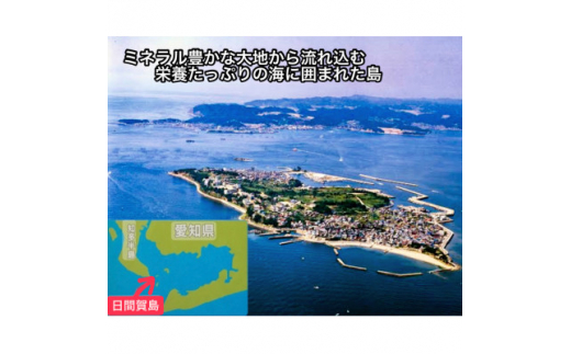 日間賀島 味付け 海苔 12本 ( 1箱 ) 島のり 味付けのり 丸豊 のり 愛知県 南知多町 ご飯 ごはん つまみ おやつ 人気 おすすめ