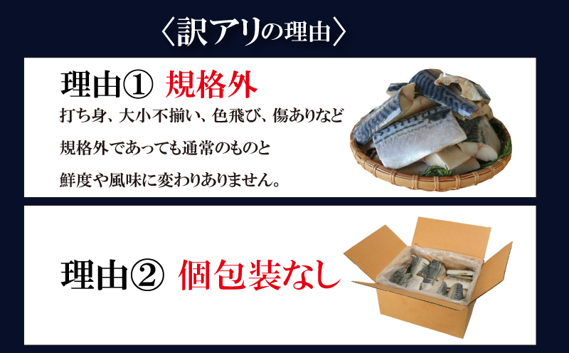 訳あり 塩サバ 切り身 約5kg(約70切前後入り) 冷凍 鯖 塩 さば 魚 さかな 海鮮 海産物 おかず サバ 鯖ご飯 おすすめ 人気 さば サバ  鯖 魚 魚介 海鮮 惣菜 塩サバ 塩鯖 焼き鯖 サバ 焼きさば 焼さば 減塩  塩 鯖 さば サバ おすすめ 人気 ふるさと納税 鯖 サバ さば ふるさと納税さば 愛知県南知多町 南知多 株式会社 山太 さば 鯖 人気 おすすめ 愛知県 南知多町