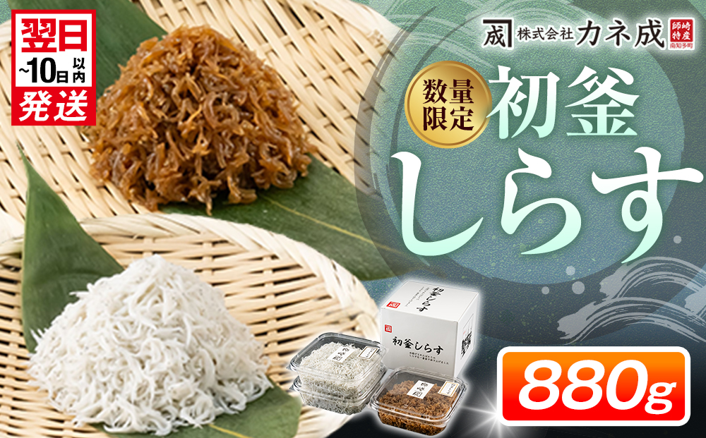 しらす 880g ( しらす 300g × 2 パック 佃煮 280g ) セット 釜揚げ 初釜 減塩 無添加 無着色 冷凍 愛知県 南知多町 しらす しらす干し ちりめん シラス ご飯 ごはん 丼 料理 国産 新鮮 カネ成 人気 おすすめ 小分け