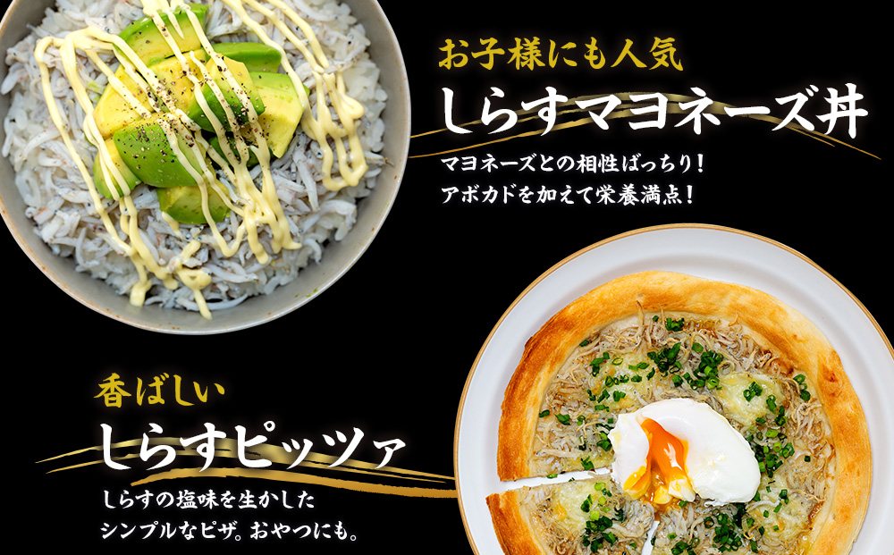 しらす 500g ( 500g × 1袋 ) 訳あり 冷凍 しらす干し 減塩 極み ごはん 丼 パスタ チャーハン サラダ 魚 料理 山庄 愛知県 南知多町 師崎