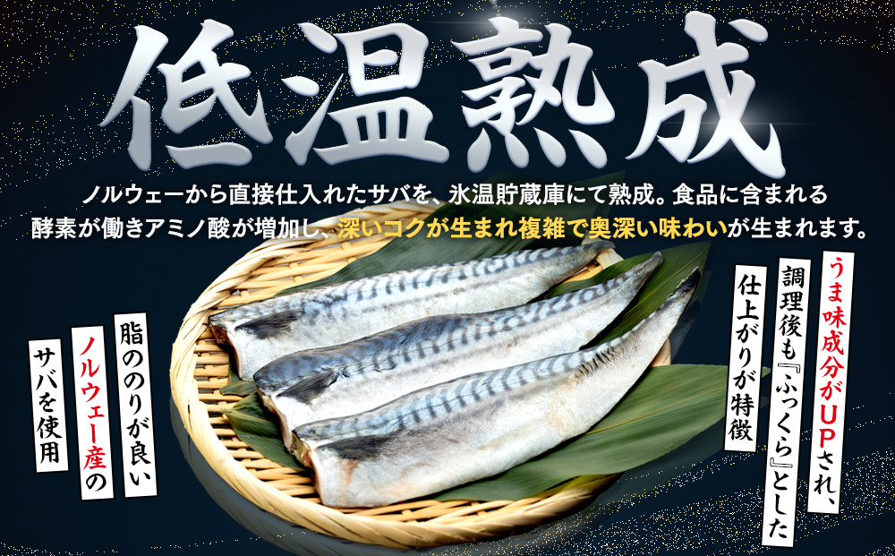 訳あり 塩サバ 約3kg 冷凍 鯖 塩 さば 魚 さかな 海鮮 海産物 おかず ご飯 おすすめ 人気 愛知県 南知多町 【配送不可地域：離島】