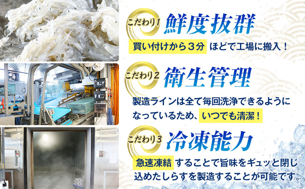 しらす 880g ( しらす 300g × 2 パック 佃煮 280g ) セット 釜揚げ 初釜 減塩 無添加 無着色 冷凍 愛知県 南知多町 しらす しらす干し ちりめん シラス ご飯 ごはん 丼 料理 国産 新鮮 カネ成 人気 おすすめ 小分け