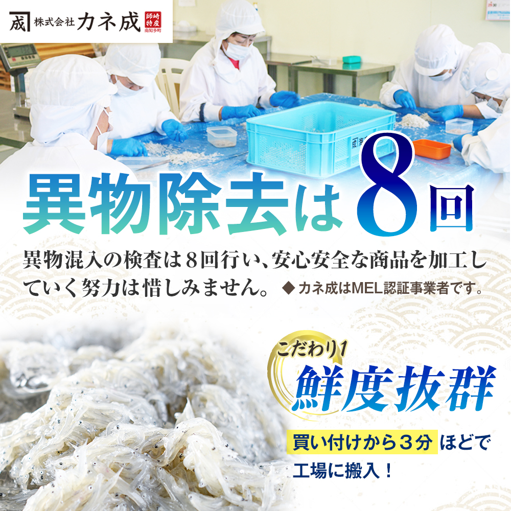 しらす干し 900g ( 300g × 3 パック) 初釜 小分け 減塩 無添加 無着色 冷凍 愛知県 南知多町 しらす ご飯 ごはん 丼 シラス カネ成  料理 国産 人気 おすすめ