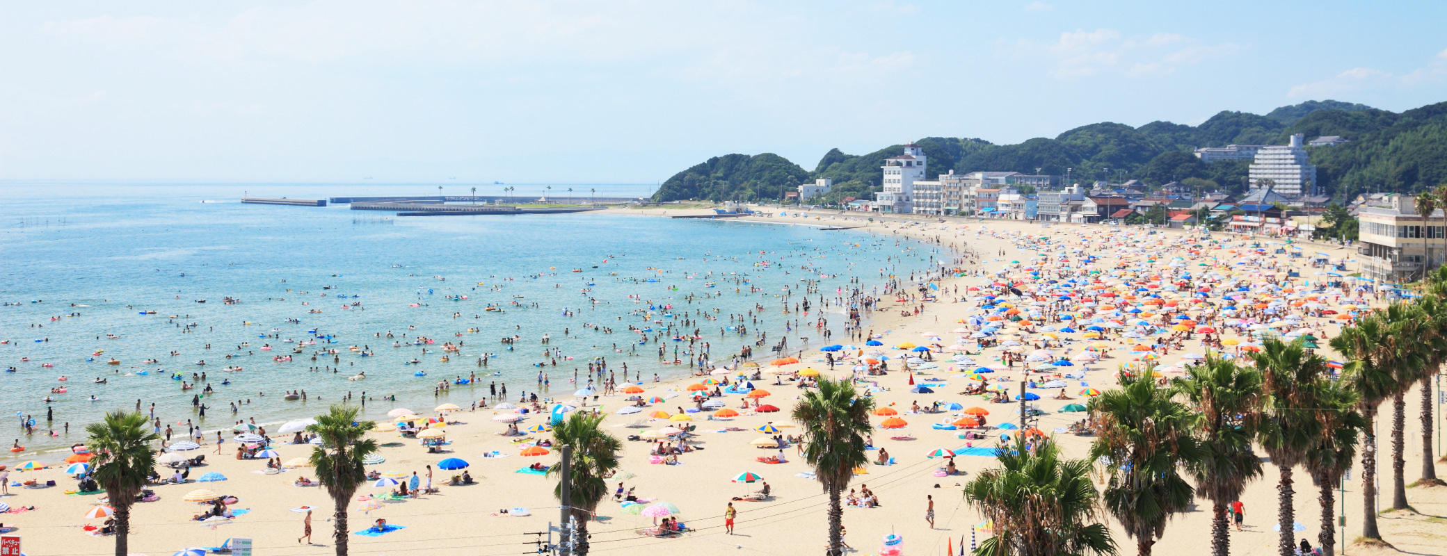 愛知県南知多町