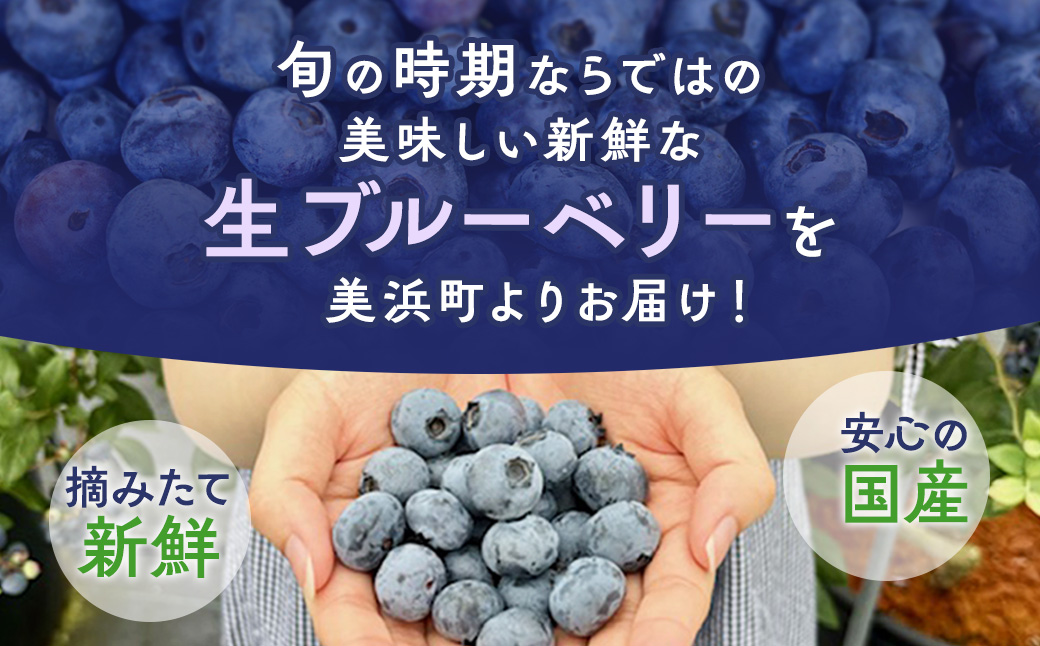 【数量＆期間限定】国産大粒ブルーベリー　100g×8パック入り ※2025年6月中旬～8月中旬に順次発送予定 ※北海道・沖縄・離島への配送不可