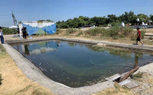 爆釣 美浜フィッシングパーク 利用券 半日券 午後券 女性・子ども（小学生以下）用 体験 チケット ｜ 海釣り 釣り堀 釣堀 旅行 アクティビティ アウトドア スポーツ ギフト券 券 体験チケット 釣り竿 釣竿 竿 釣り餌 レンタル 釣 愛知県 美浜町 知多半島