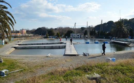爆釣 美浜フィッシングパーク 利用券 半日券 午後券 女性・子ども（小学生以下）用 体験 チケット ｜ 海釣り 釣り堀 釣堀 旅行 アクティビティ アウトドア スポーツ ギフト券 券 体験チケット 釣り竿 釣竿 竿 釣り餌 レンタル 釣 愛知県 美浜町 知多半島