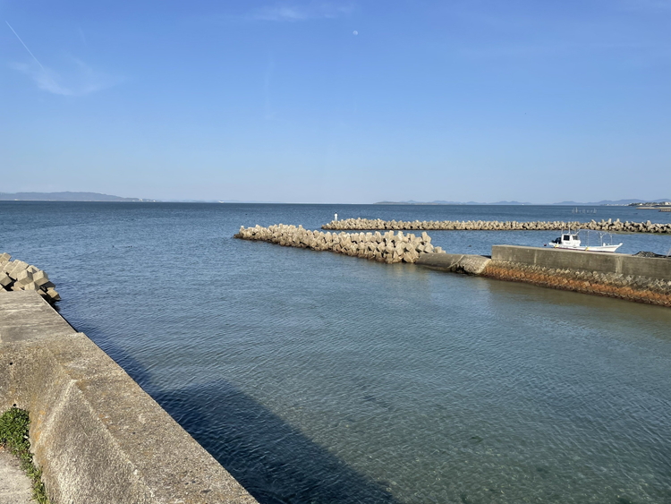 【浜オートキャンプ場】デイキャンプ1サイト区画(2～5名)利用券｜宿泊 旅行 体験 アウトドア バーベキュー BBQ 日の出 海 愛知県 美浜町