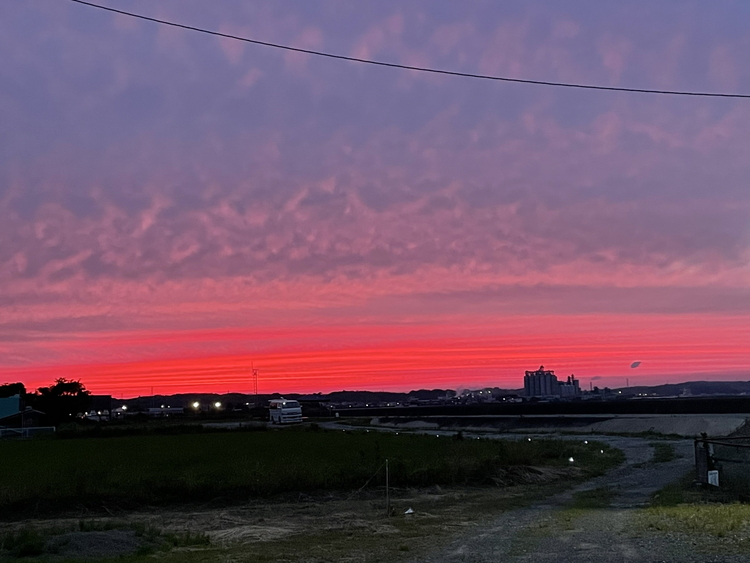 【浜オートキャンプ場】デイキャンプ1サイト区画(2～5名)利用券｜宿泊 旅行 体験 アウトドア バーベキュー BBQ 日の出 海 愛知県 美浜町