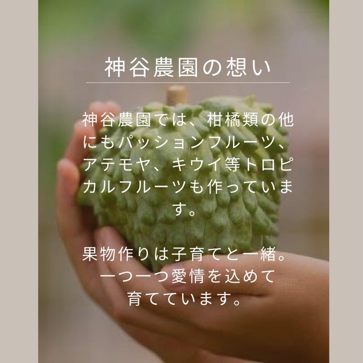 ãèš³ãããçå€8kg | æ°ééå® ããŸãªã€ å€ã¿ãã ææ© ããã〠ãã ãã® ãã«ãŒã åœç£ æç¥ç ç¥å€åå³¶ çŸæµçº 蟲家çŽé ç£å°çŽé â»åæµ·éã»æ²çžã»é¢å³¶ãžã®é
éäžå¯ â»2026幎4æäžæ¬ïœ5æäžæ¬é ã«é 次çºéäºå®