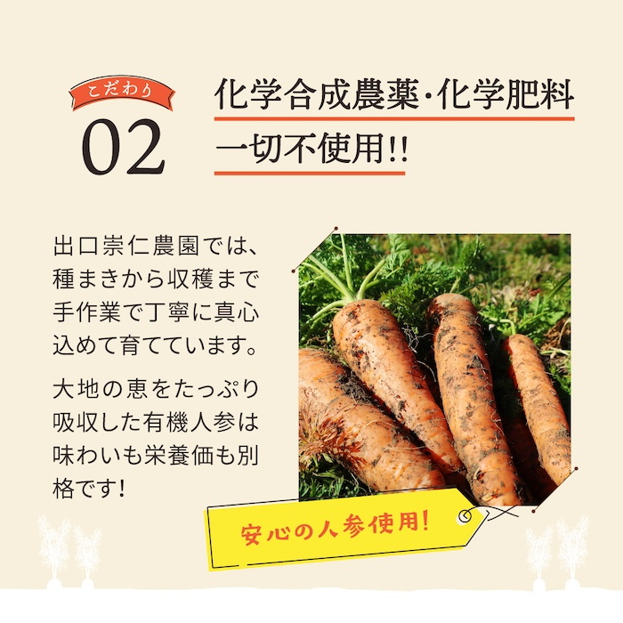 【定期便12ヶ月（全6回）】1000ml×4本を隔月お届け！奇跡の人参ジュース 出口崇仁農園りんご果汁入り・ストレート ※離島への配送不可