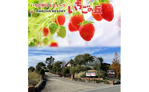 ãŸãã¯é£å ãã«ããªãŸãŒã ãã¡ãã®äž ãèš³ãããå®ç å·åãã¡ã 2kg 1kgÃ2è¢ ïœ èš³ãã ãã¡ã ã€ã㎠å·å 2kg åœç£ å®ç ã¹ã ãŒãžãŒ ãžã£ã ãšãŒã°ã«ã ã·ã£ãŒããã ãã¶ãŒã ã¢ã€ã¹ ãã〠æç© ãã«ãŒã æç¥ç çŸæµçº â»åæµ·éã»æ²çžã»é¢å³¶ãžã®é
éäžå¯