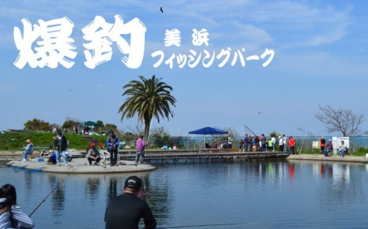 爆釣 美浜フィッシングパーク 利用券 半日券 午後券 男性用 体験 チケット ｜ 海釣り 釣り堀 釣堀 旅行 アクティビティ アウトドア スポーツ ギフト券 券 体験チケット 釣り竿 釣竿 竿 釣り餌 レンタル 釣 愛知県 美浜町 知多半島