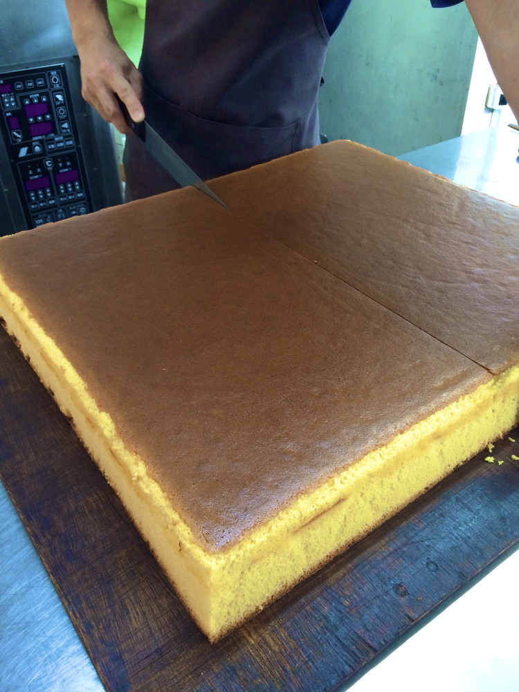 コーチンカステラ 10個 ｜ 個包装 カステラ 名古屋コーチン おためし お試し 焼き菓子 洋菓子 おやつ お菓子 おかし スイーツ おすすめ 人気 詰め合わせ セット 贈り物 プレゼント ギフト 愛知県 美浜町