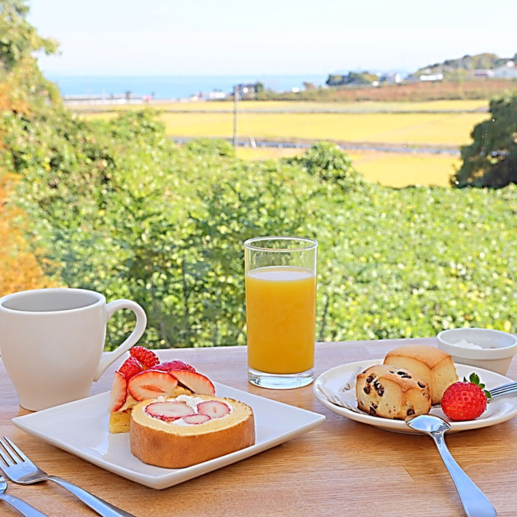 まるは食堂 マルハリゾート いちごの丘1,000円券12枚（12,000円分） ※着日指定不可