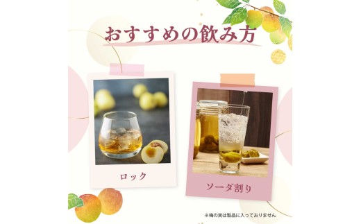 知多梅酒720ml×1本 梅酒 お酒 國盛 國盛FARM 果実酒 食前酒 リキュール ロック ソーダ割 紅南高梅 南高梅 完熟梅 フルーツ 愛知県 美浜町 中埜酒造