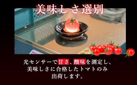 å®çãããé£ã¹æ¯ã¹ã»ããçŽ1kg 3çš®é¡ã®ããã çŸå³ããéžå¥ ïœãšãŸãš ããã æžèŸ²è¬ éè ããã äººæ° æ°é®® ç£å°çŽé çŽå£² çã é«ç³åºŠ å®ç ãªã³ãã³ ãã¿ãã³ ãã€ãšãã çŸå®¹ çŸè æç¥ç çŸæµçº â»2026幎1æäžæ¬ïœ5æäžæ¬é ã«é 次çºé