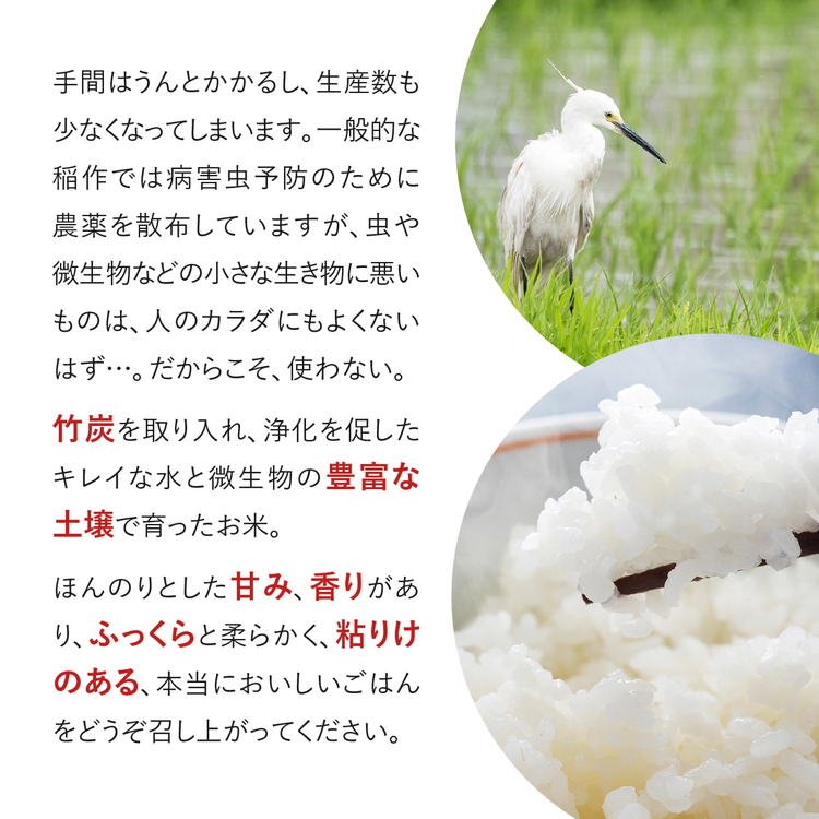 令和5年産 出口崇仁農園のコシヒカリ 有機栽培米【白米5kg】世界に一つだけのお米 ※着日指定不可 ※離島への配送不可