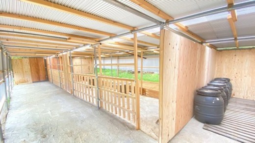 ãäœéšåè¿ç€Œåããããã€ã®ç§å Žããã¯ã€ãŒããã¢ãŒïŒæ¥å Ž/3æé/2åïŒ