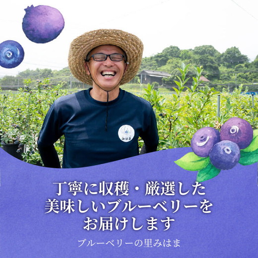 大粒ブルーベリー品種ミックス 125g×6パック 果物 くだもの フルーツ ヨーグルト ジャム 国産 愛知県産 ※2026年6月上旬～8月上旬頃に順次発送予定 ※北海道・沖縄・離島への配送不可