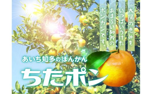 ã¡ããã³ïŒãœãããïŒ5kgïœããã¡ç¥å€ã®ãœããã 倪ç°ãœããã ãã³ã«ã³ ãã«ãŒã æç© æå® ããã〠ã¿ãã ãã«ã³ èæ æééå® æ°ééå® çŸæµçº æç¥ç ç¥å€åå³¶ åœç£ãâ»åæµ·éã»æ²çžã»é¢å³¶ãžã®é
éäžå¯ãâ»2026幎1æäžæ¬ïœ2æäžæ¬é ã«é 次çºéäºå®