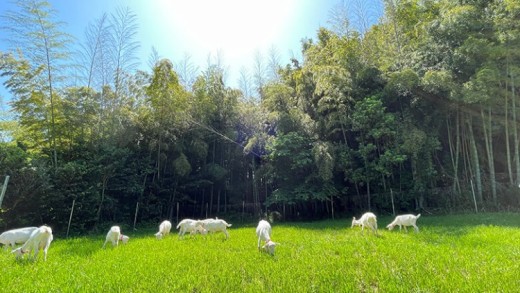 ãäœéšåè¿ç€Œåãã€ã®ã®é£Œè²å¡ããäœéšã³ãŒã¹ïŒæ¥å Ž/3æéïŒ2å