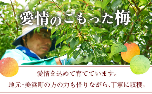 ç¥å€æ¢
é
720ml 1ã±ãŒã¹ â ? æ¢
é
ããé
ãåçãåçFARMãæå®é
ãé£åé
ããªãã¥ãŒã«ãããã¯ããœãŒãå²ãçŽ
å髿¢
ãå髿¢
ãå®çæ¢
ããã«ãŒããæç¥çãçŸæµçºãäžåé
é