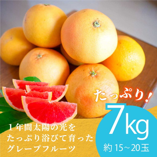 ãå
è¡åä»äºçŽãåœç£ã°ã¬ãŒããã«ãŒã å®¶åºçš7kgïŒ15ïœ20çïŒ èš³ãã ææ© ã¹ã¿ãŒã«ã㌠ããŒã¯ãã¯ã¹ é²è
å€ãªã æç© ãžã¥ãŒã¹ ãžã£ã éæ æ¬ ã¢ãã ã§ããã ã蟲è¬ã䜿ããªã â»2026幎5æäžæ¬ïœ8æäžæ¬é ã«é 次çºéäºå®