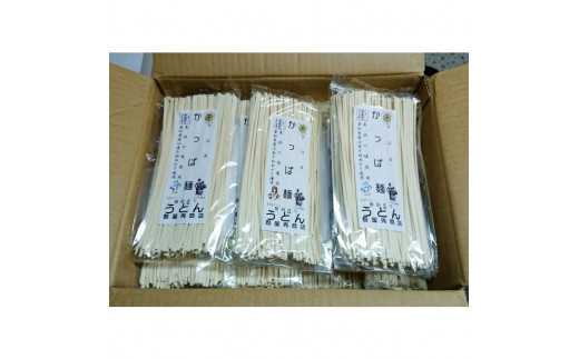 かっぱ麺　うどん　1箱14袋入り ≪ウドン 饂飩 美浜の塩 愛知県 特産品≫◇