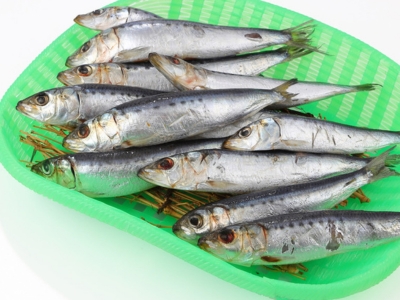 【美浜町・南知多町共通返礼品】年間100万枚販売！魚太郎名物【とろさば】入り・自家製ひもの5種セット★鮮度にこだわる魚屋が丁寧に手作業で作りました！ ※北海道・沖縄・離島への配送不可