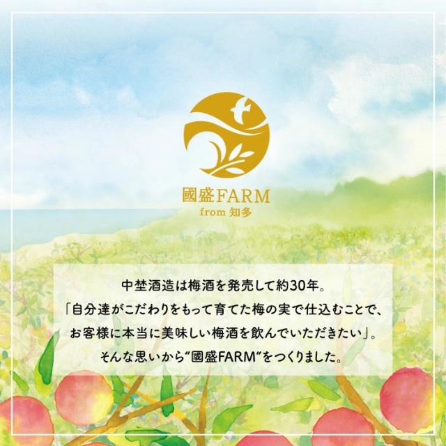 梅シロップ420g×3本 ◆ ? 希釈用 梅 氷砂糖 梅ジュース 梅ドリンク 梅サワー 梅ソーダ ノンアルコール ギフト 贈り物 國盛 國盛FARM 紅南高梅 南高梅 完熟梅 フルーツ 愛知県 美浜町 中埜酒造